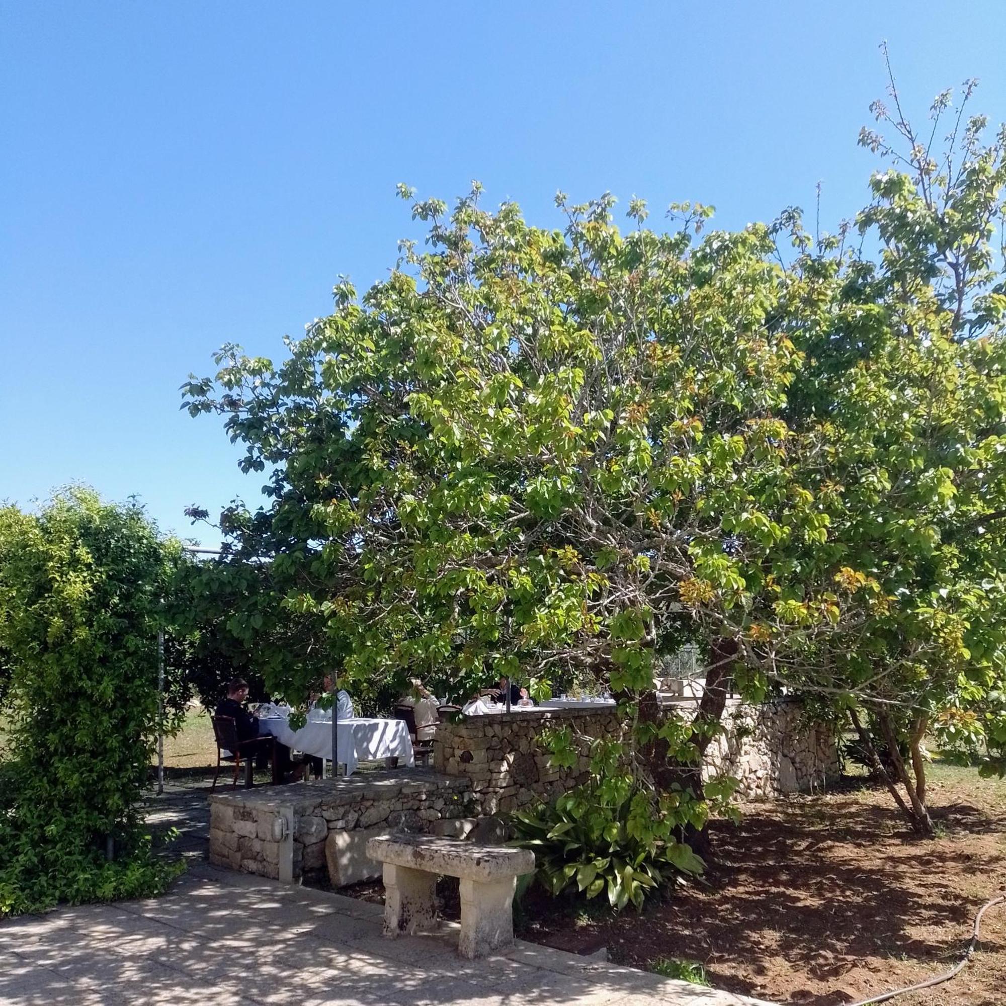 Agriturismo Villa Coluccia Мартано Экстерьер фото