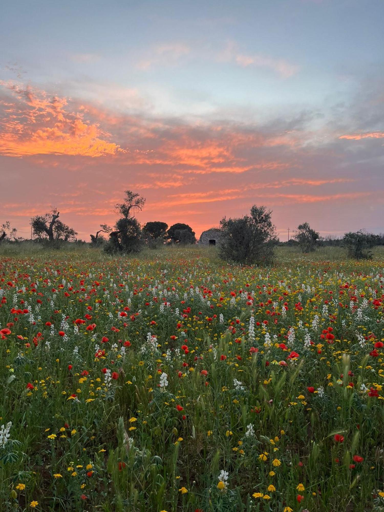 Agriturismo Villa Coluccia Мартано Экстерьер фото